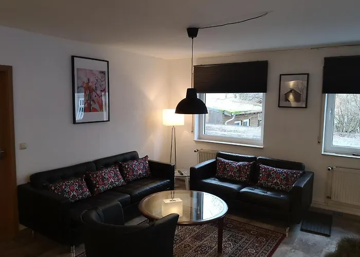 Jonas وينتربرغ